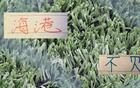 上海海港已三轮不败 周末第24轮主场大战海牛