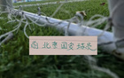 树挪死人挪活！前北京国安球员 恩加德乌 马马杜坐稳主力 王子铭+韦世豪也拿冠