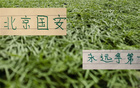 北京国安亚冠精英赛3大主力缺席 但他们比申花好的是 蒙哥马利手握8名外援