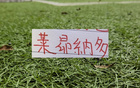 海港头号射手莱昂也是敬业！别人间歇期穿保护靴都要旅游 他是选择静养康复