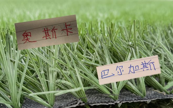 安佩姆也是好起来！能跟海港名宿奥斯卡 巴尔加斯一样在亚冠上演帽子戏法